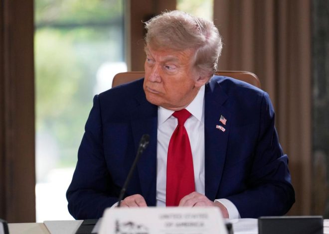 Trump fires Democratic commissioner of independent agency that oversees nuclear safety
