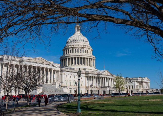 Senate parliamentarian deals blow to GOP plan to gut consumer bureau in tax bill