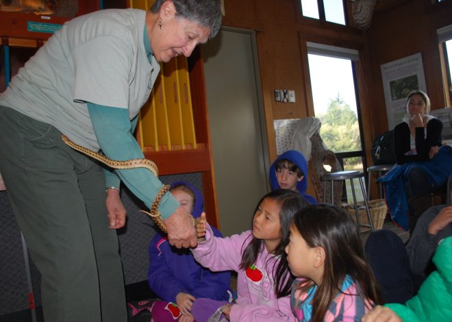 Volunteers can train to be docents with Midpen