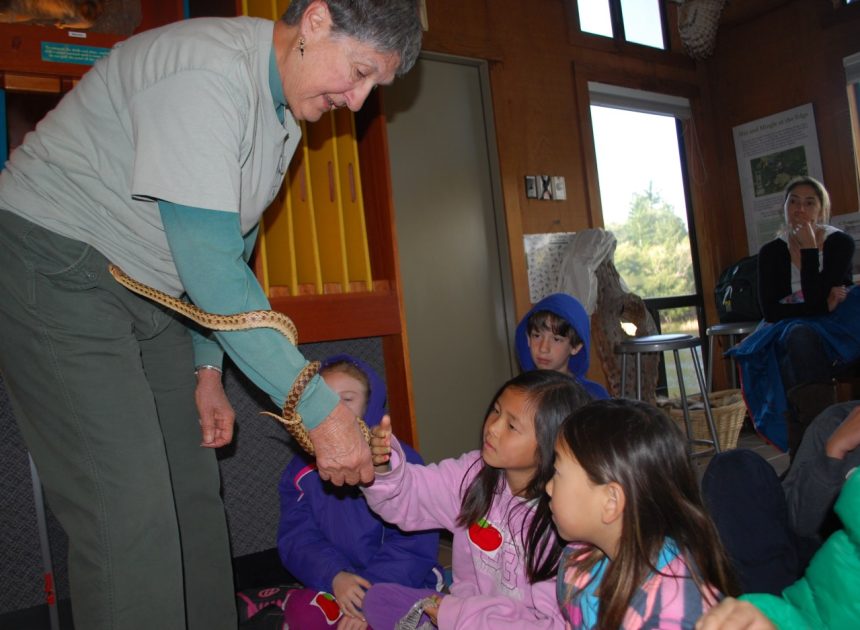 Volunteers can train to be docents with Midpen