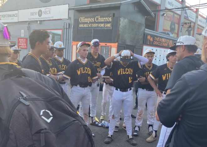Wilcox’s bid for CCS Division II baseball championship denied by Hollister