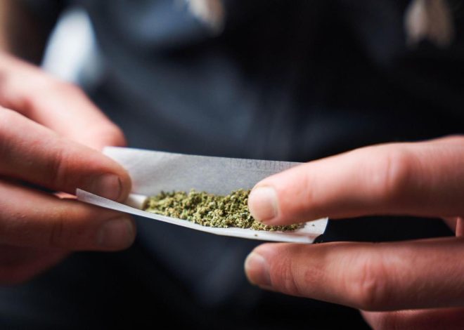 Marijuana use dramatically increases risk of dying from heart attacks and stroke, large study finds