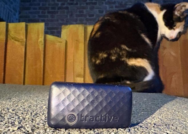 One Tech Tip: No more lost cats and dogs. Use tech to track your pet