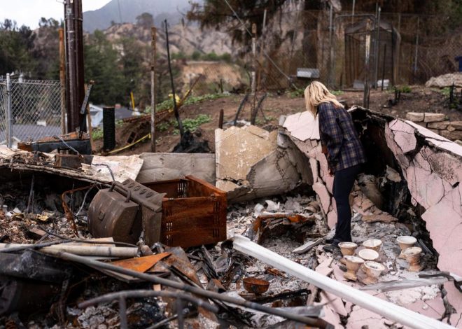 Elias: Federal, state aid to L.A. fire victims so far bodes ill for future