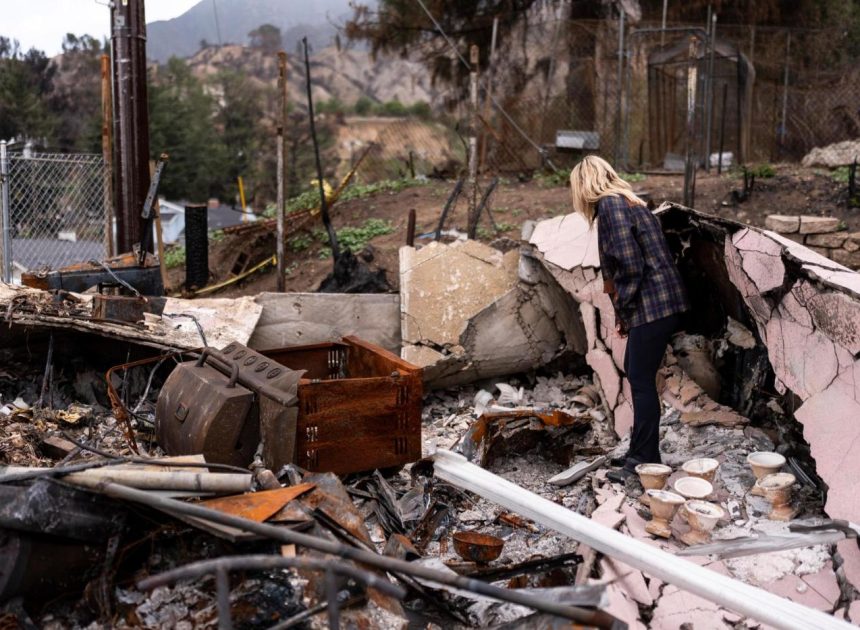 Elias: Federal, state aid to L.A. fire victims so far bodes ill for future