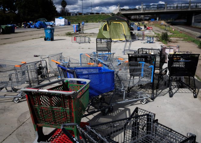Opinion: State bill letting cities profit from stolen carts could cost customers
