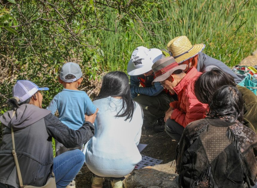 San Jose’s Alum Rock Park hit by ‘BioBlitz’