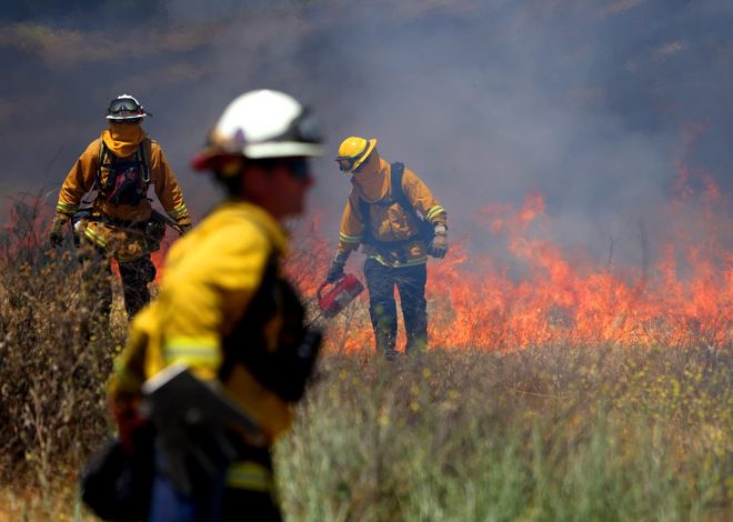 Wildfires: Which parts of California are at highest fire risk this summer?