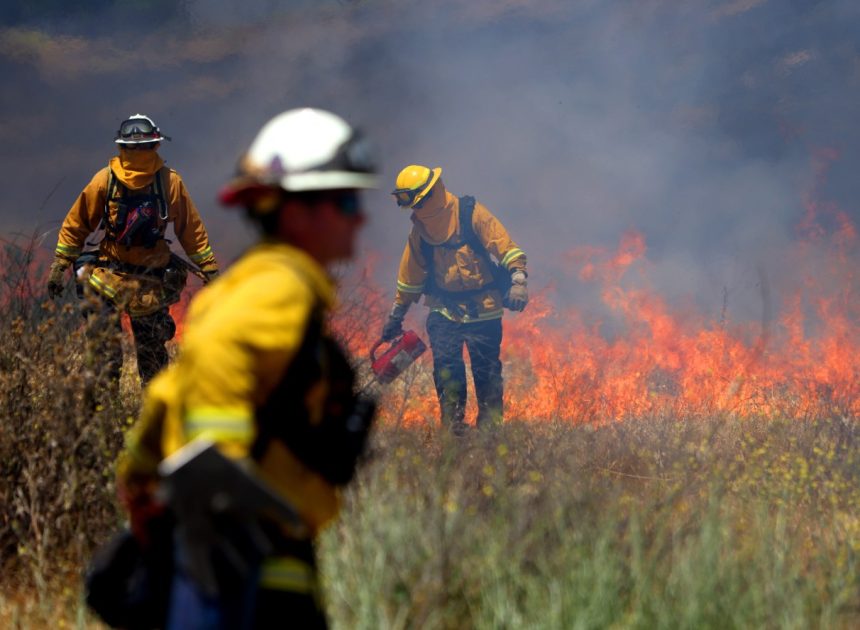 Wildfires: Which parts of California are at highest fire risk this summer?