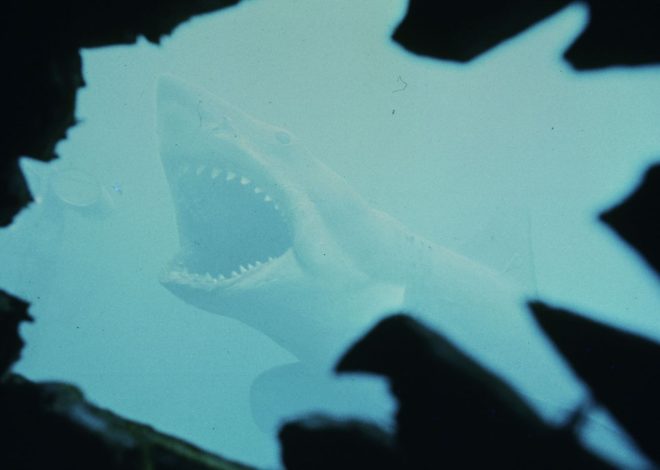 Think you know ‘Jaws’? Chomp on this trivia test