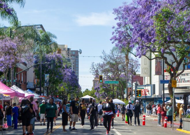 Black community pride fills San Jose Juneteenth festival