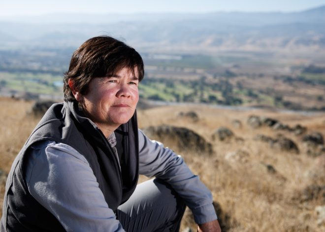 Resident sought to help review open space expenditures