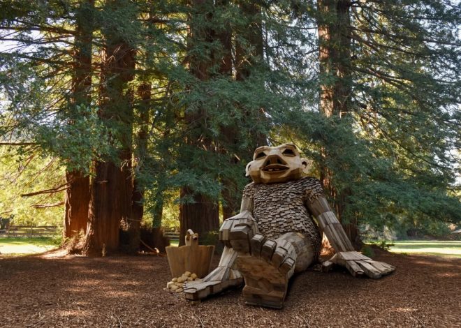7 terrific Bay Area things to do this weekend, June 6-8