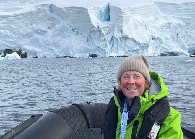 Wish You Were Here: Icebergs, penguins and whales in Antarctica