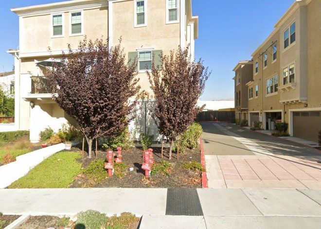 These 10 homes were in the week of May 19 best deals for Milpitas