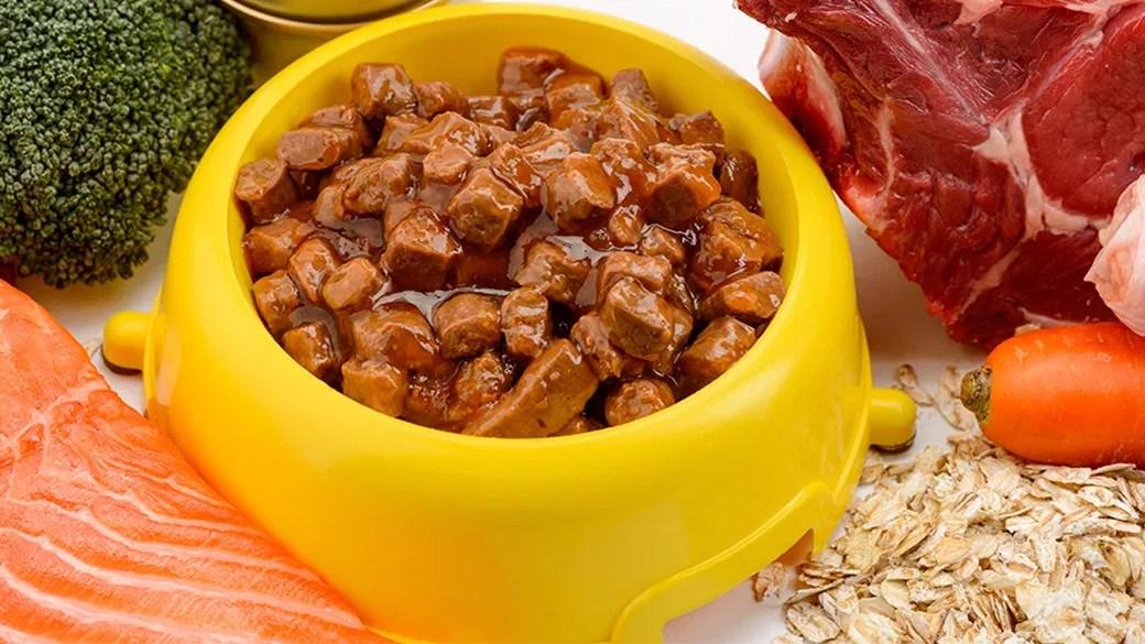 Best wet dog food for happy, healthy pups
