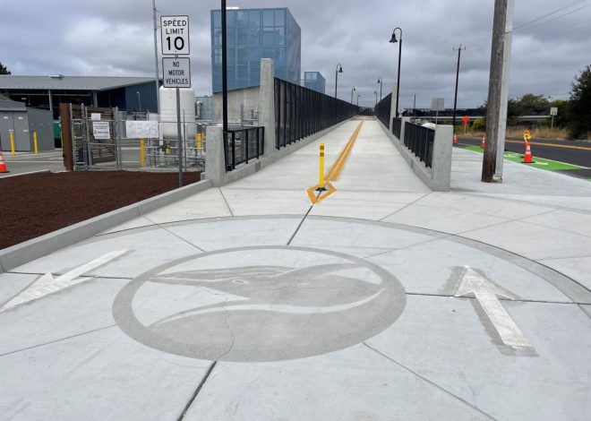 Highway 1 ‘whale bridge’ reopens for public use