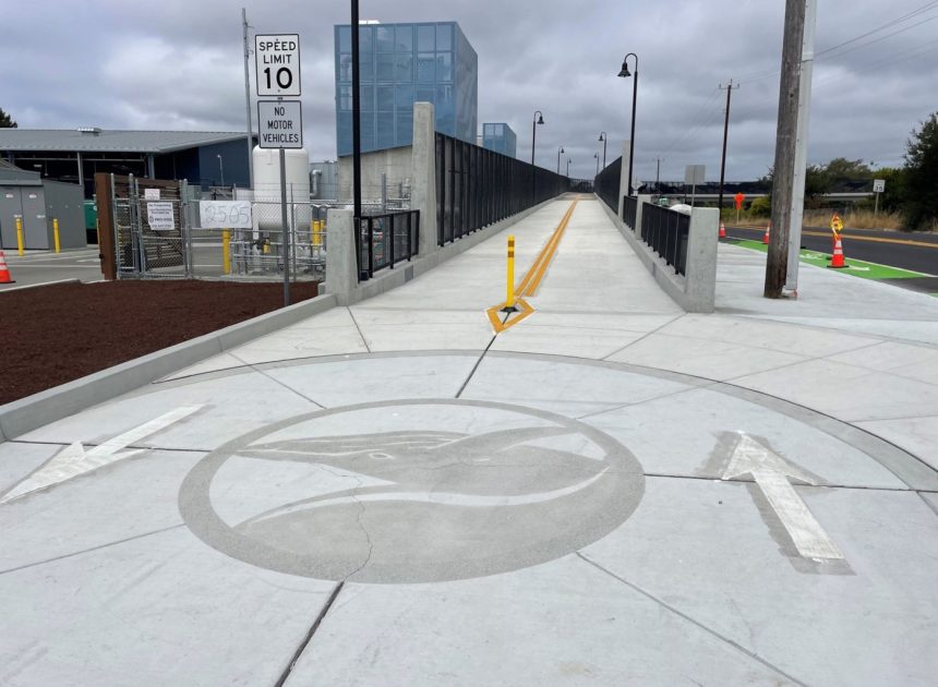 Highway 1 ‘whale bridge’ reopens for public use