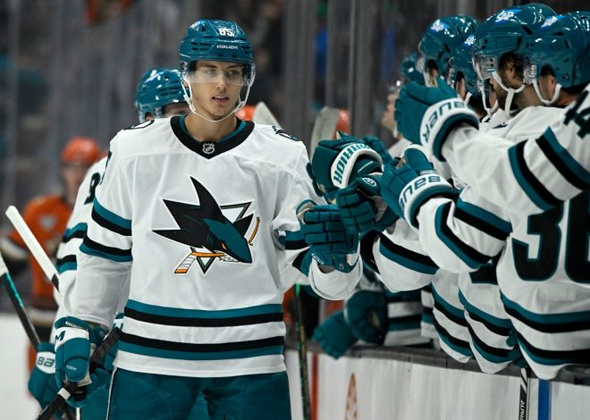 Sharks’ additions on defense were badly needed, but also create one concern