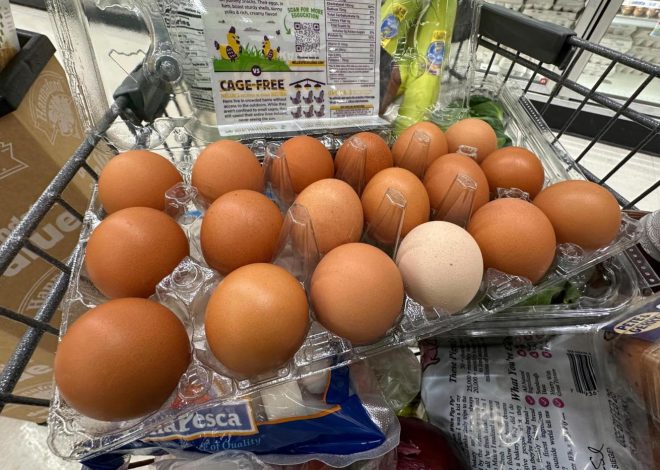 The tariff-driven US inflation that economists feared begins to emerge