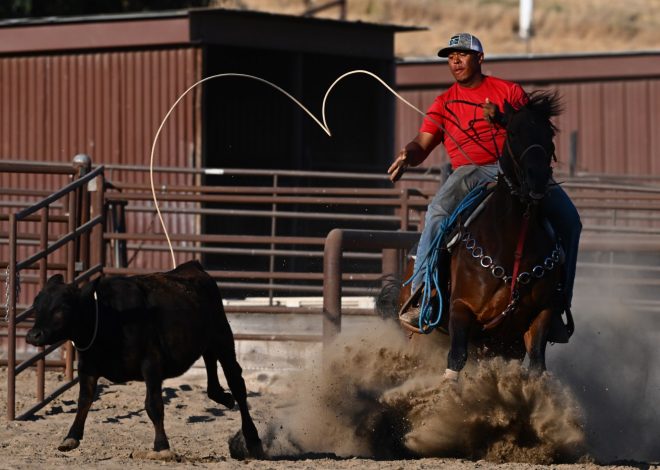 As the Bill Pickett Rodeo returns, Black cowboy culture sees a resurgence in the Bay Area