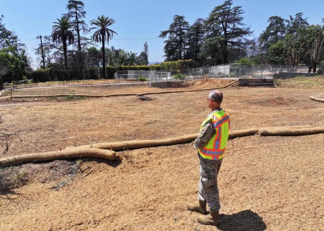 6 months later, 12 ways the Eaton and Palisades fires changed Southern California