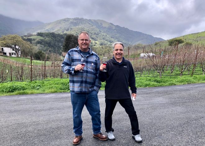 Wine competition winners are a diverse lot