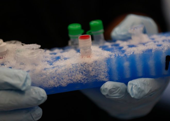 Letters: Investments in science are investments in innovation and our economy