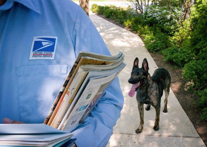 California postal workers ask, ‘Who let the dogs out?’
