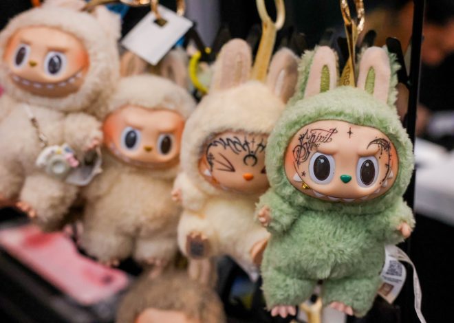 Labubu plush toy craze sparks creativity, side hustles among Bay Area fans