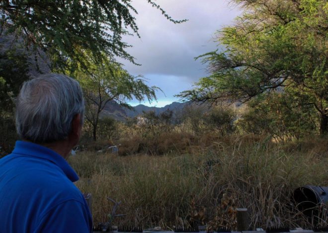 Could this Hawaii community be the next Lahaina? Some residents fear a similar wildfire fate
