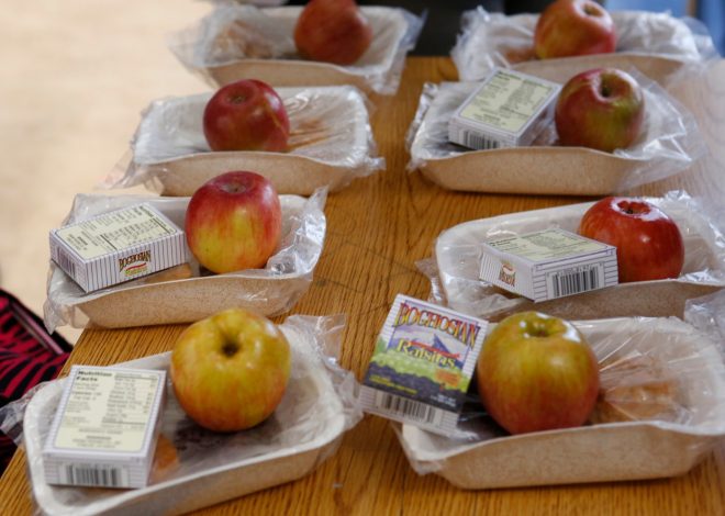 Mendocino County’s Ukiah Unified offering free summer meals
